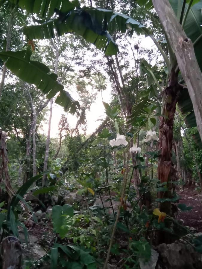 Ecolodge Uh May Francisco Uh May ภายนอก รูปภาพ