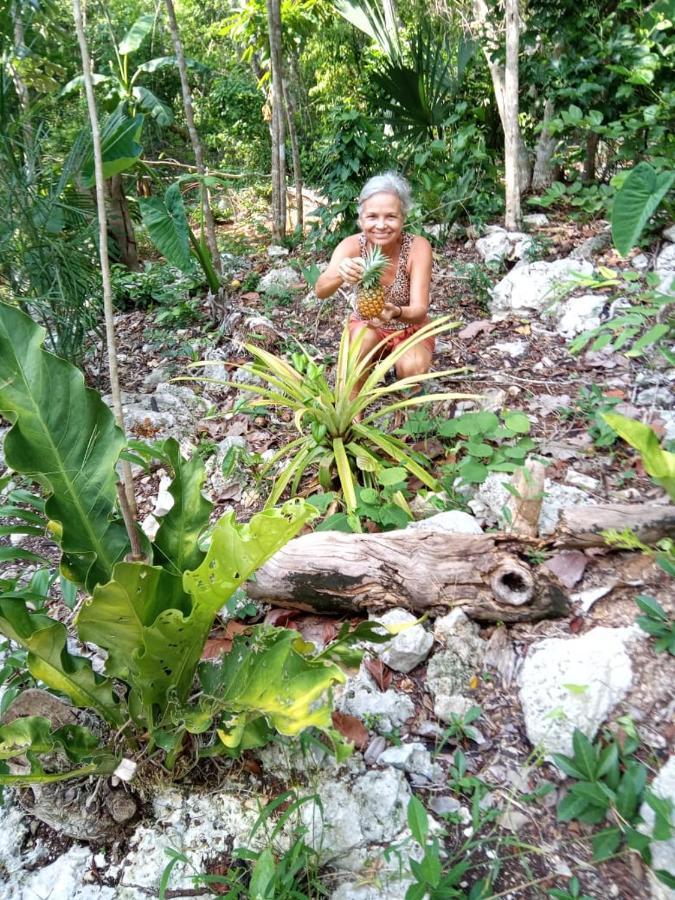Ecolodge Uh May Francisco Uh May ภายนอก รูปภาพ