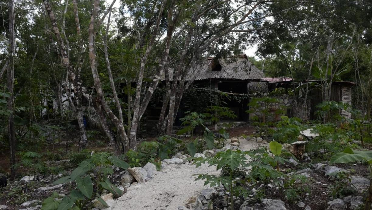 Ecolodge Uh May Francisco Uh May ภายนอก รูปภาพ